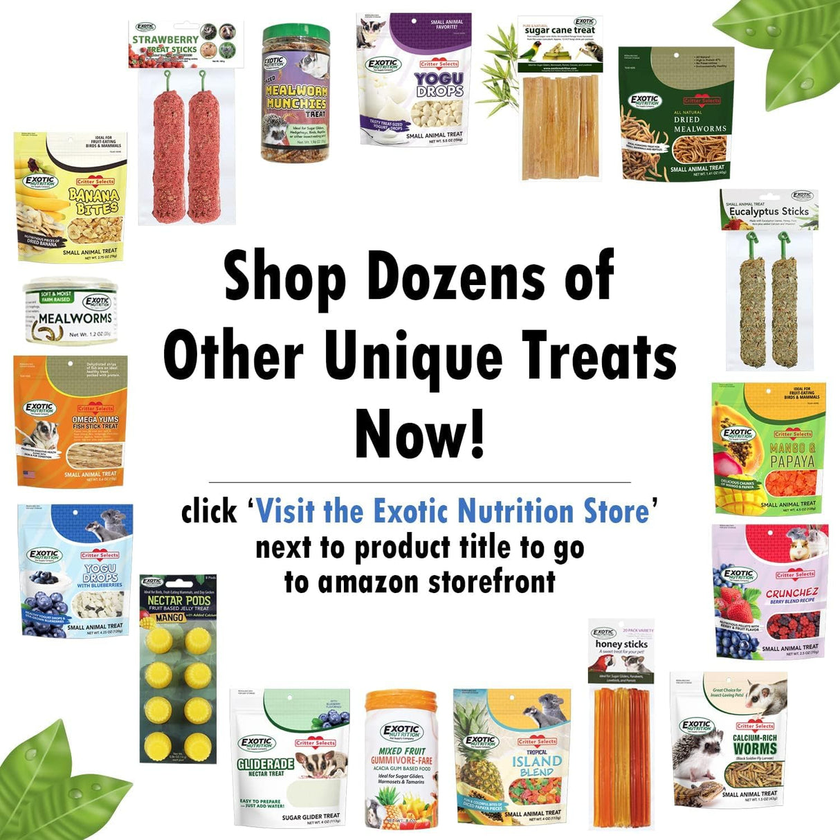 Exotic Nutrition Squirrel Beneficial Blocks - Healthy & Unique Supplemental Food with Nuts & Seeds, 20 oz