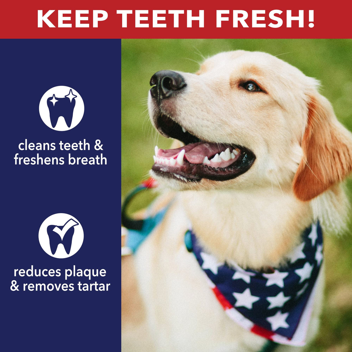 Pet Factory 100% Made in USA Beefhide Chip Rolls Dog Rawhide Chews, Thick, Dog Chews Long Lasting from American Cattle, Dog Chew Bones, 5 Inches (Pack of 22)