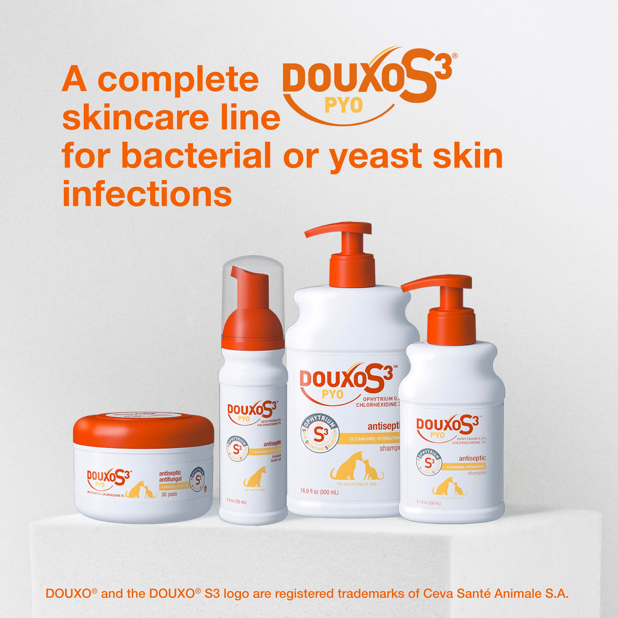 Douxo S3 Pyo Mousse, Contains 3% Chlorhexidine & 0.5% Ophytrium, Antiseptic & Hydrating, for Bacterial or Yeast Skin Infections, for Dogs, 5 fl. oz. (150mL)