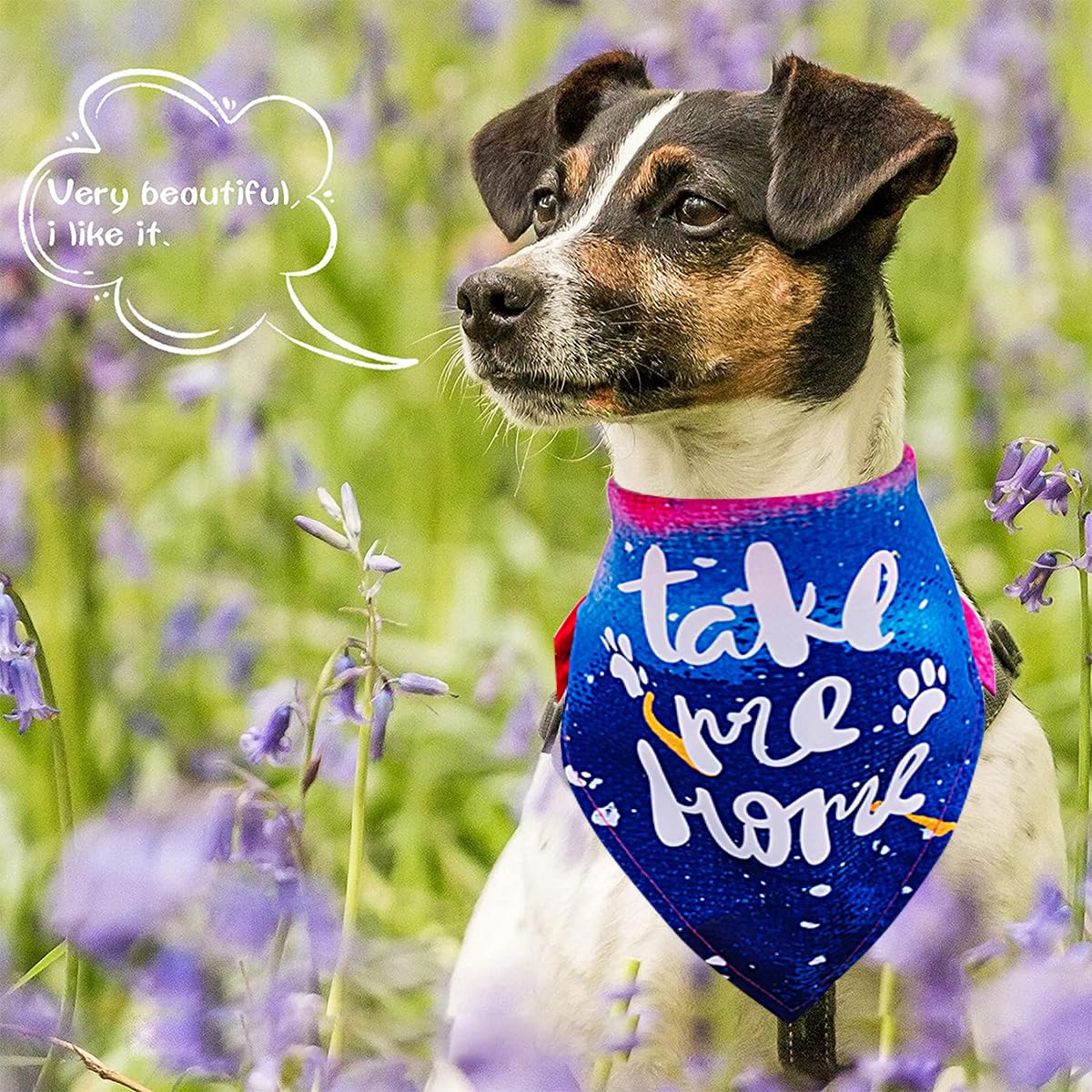 JpGdn 30Pcs/Pack Adopt Me Dog Bandanas Bulk with Paw Print Stitching Hemming Selvedge Sewing Scarves for Small Medium Foster Animals to Look for Homes or Adoption