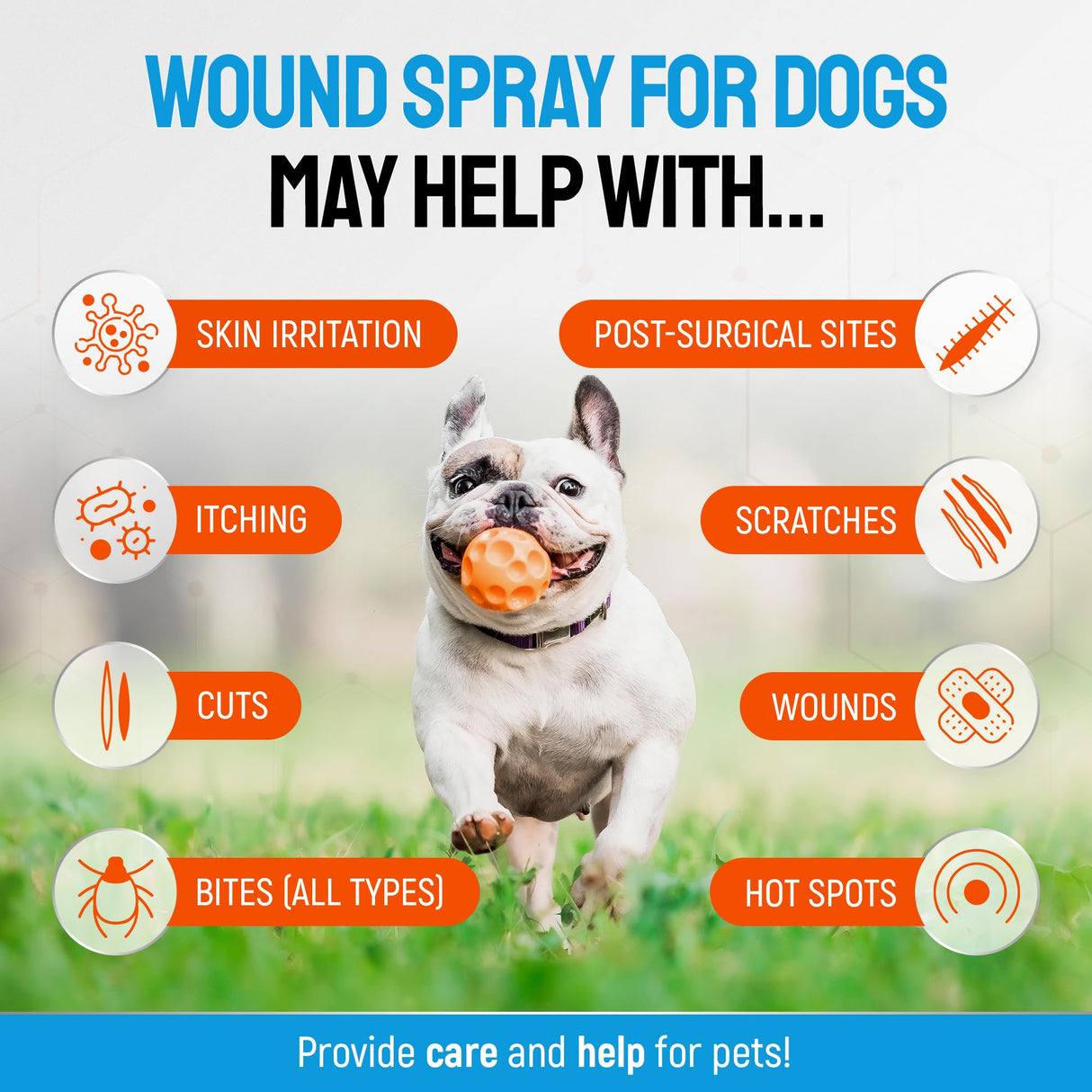 Silver Dog Wound Spray Helps with Hot Spots, Irritations, Bites, Burns, Rashes, Itch, Scratching – Better Use with a Dog Cone to Stop Licking – Safe for Large and Small Breeds – 4 oz