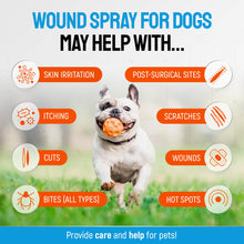 Load image into Gallery viewer, Silver Dog Wound Spray Helps with Hot Spots, Irritations, Bites, Burns, Rashes, Itch, Scratching – Better Use with a Dog Cone to Stop Licking – Safe for Large and Small Breeds – 4 oz