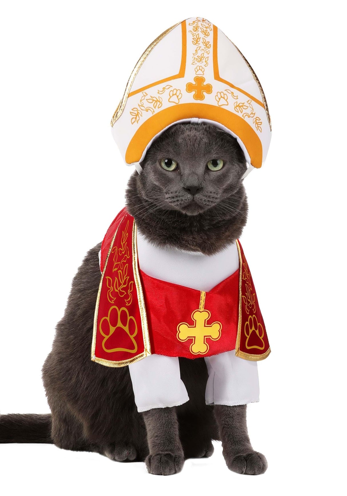Holy Hound Pet Costume X-Small