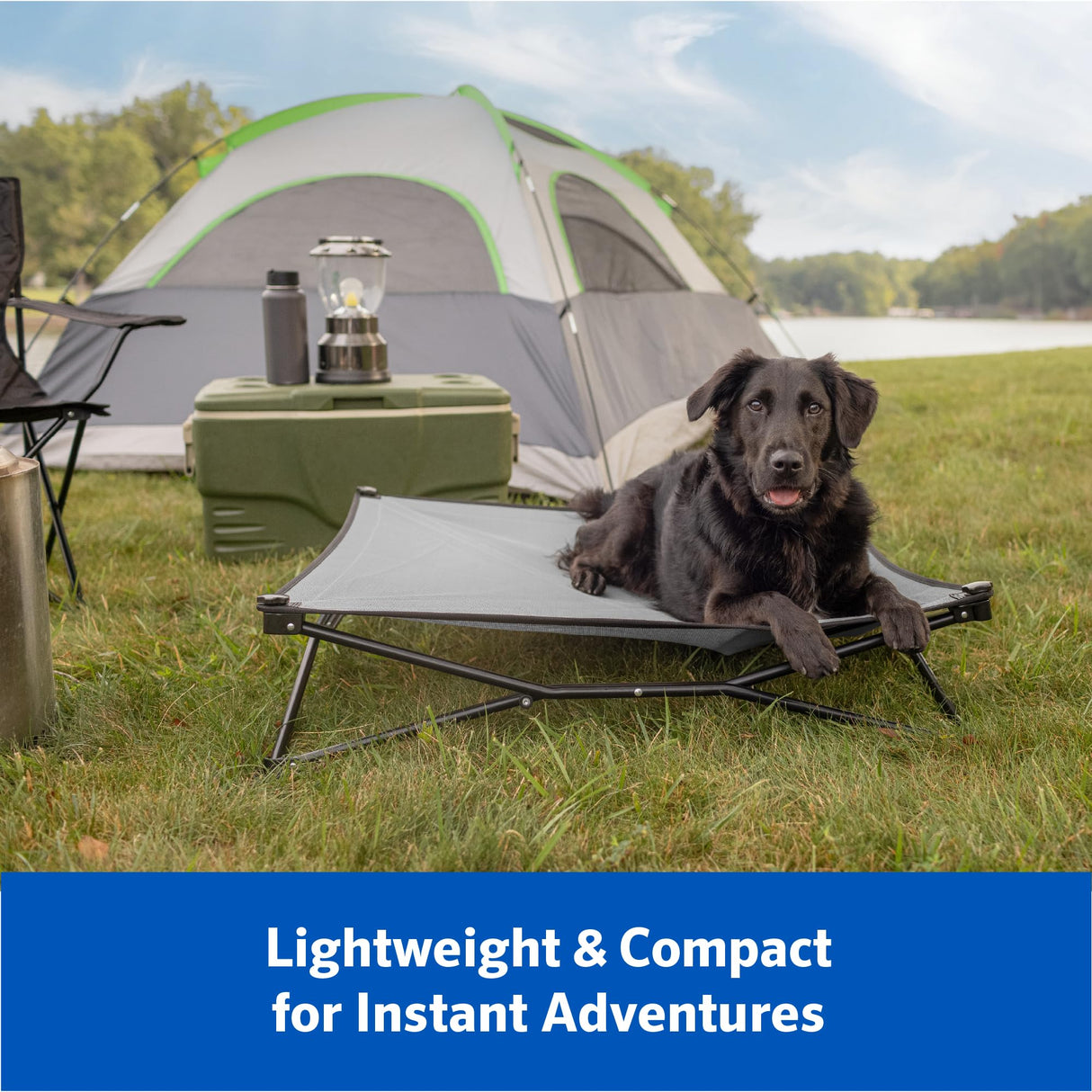 Coolaroo On-The-Go Elevated Dog Bed Kit – Portable & Cooling Travel Cot with HeatShield Fabric for Large Dogs, Lightweight & Compact, Includes Matching Carry Bag & Pacific Blue Bonus Cover, Large