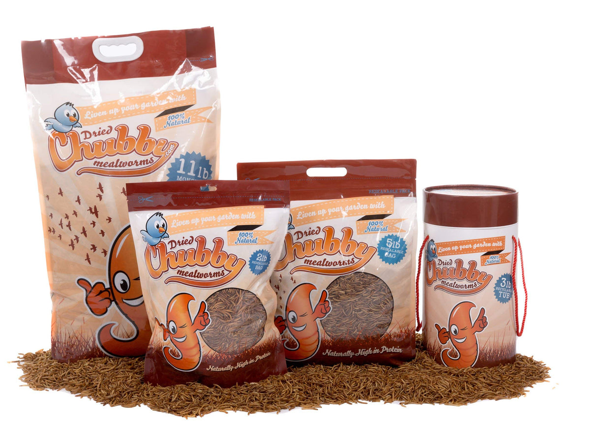 Chubby Dried Mealworms | 2 lbs | High-Protein Non-GMO Treats for Chickens, Ducks, Wild Birds & Backyard Pets