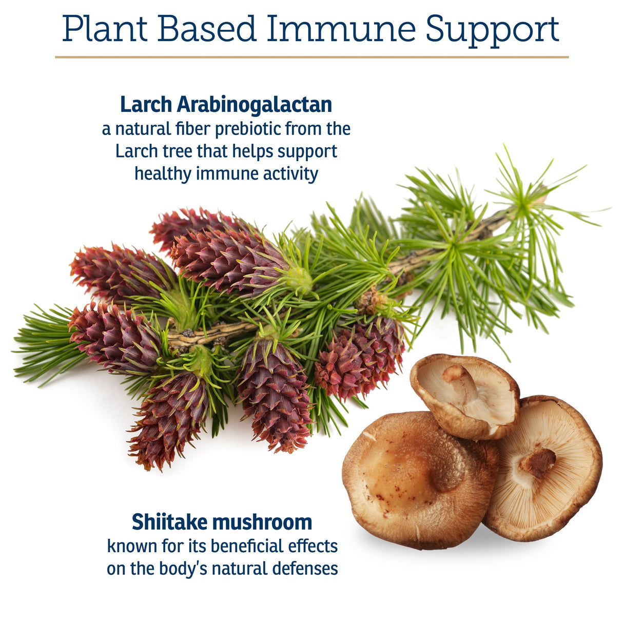 Rx Vitamins Immuno Support, Immune Support for Dogs and Cats - 60ct Supplement with Shiitake Mushroom, Arabinogalactan, and Lutein -