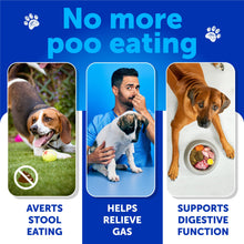 Load image into Gallery viewer, No Poo Chews for Dogs - Coprophagia Stool Eating Deterrent - Stop Eating Poop Treats with Probiotics, Digestive Enzymes, Pumpkin - Prevent Dog, Puppy from Eating Poop - Gut Health Support Supplement