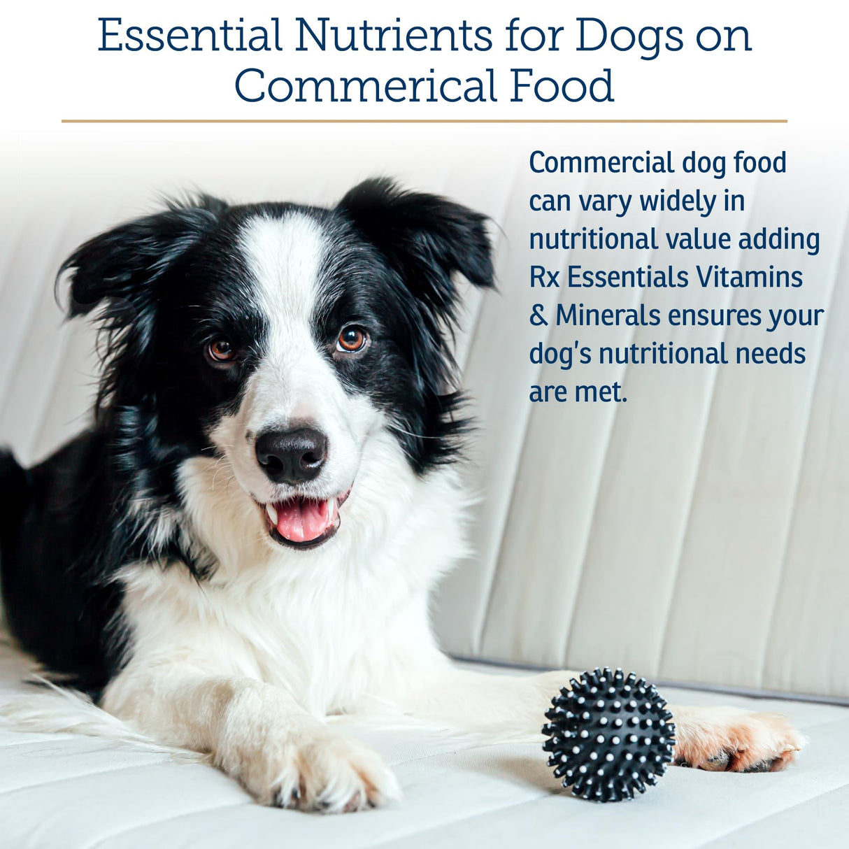 Rx Vitamins Essentials for Dogs - Daily Vitamins & Minerals - with Blue Spirulina, Kelp Powder, and Milk Thistle - Complete Canine Vitamins and Essential Minerals Powder - 8 oz