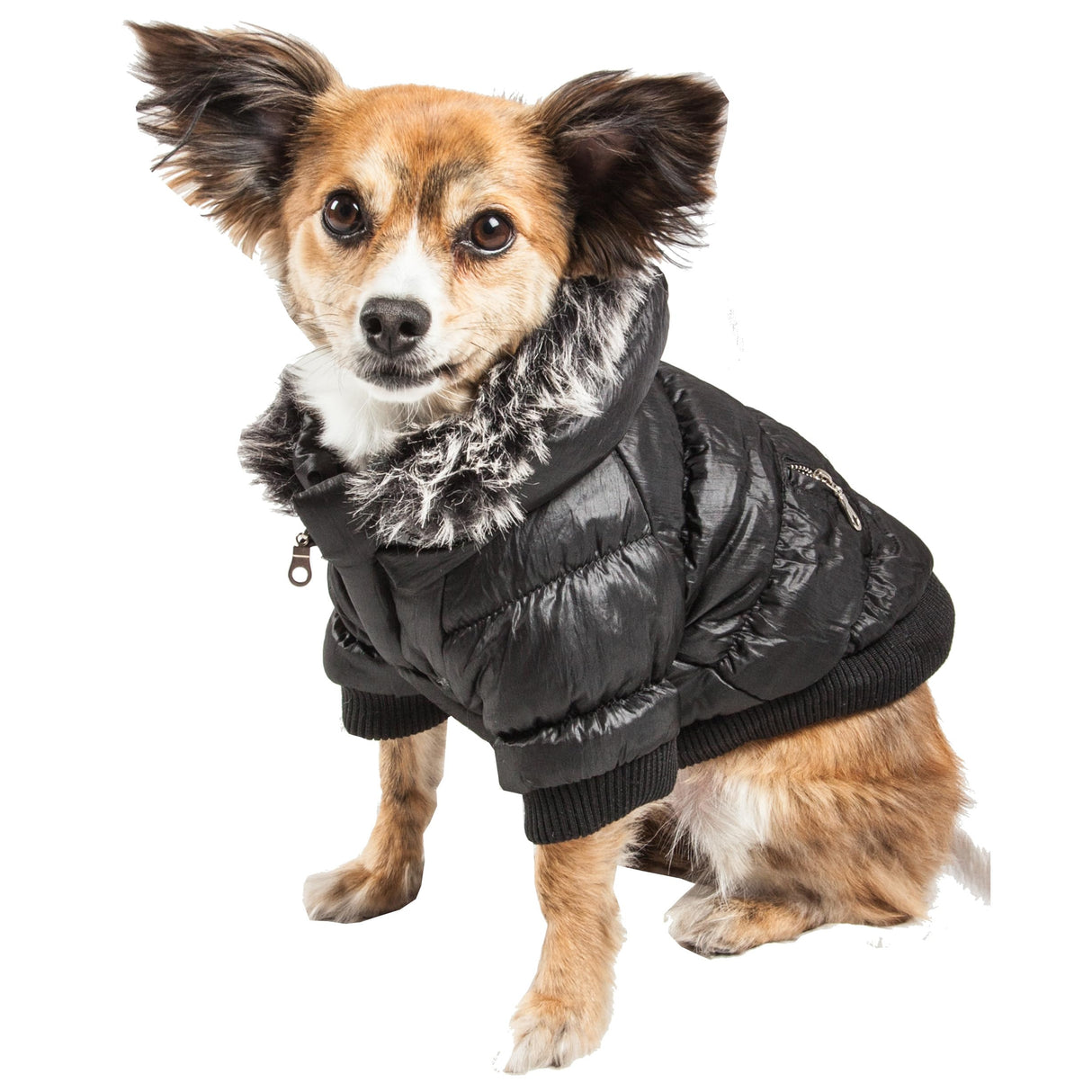Pet Life ® Classic Metallic Fashion Winter Pet Dog Coat Jacket Parka with 3M Insulation and Removable Hood