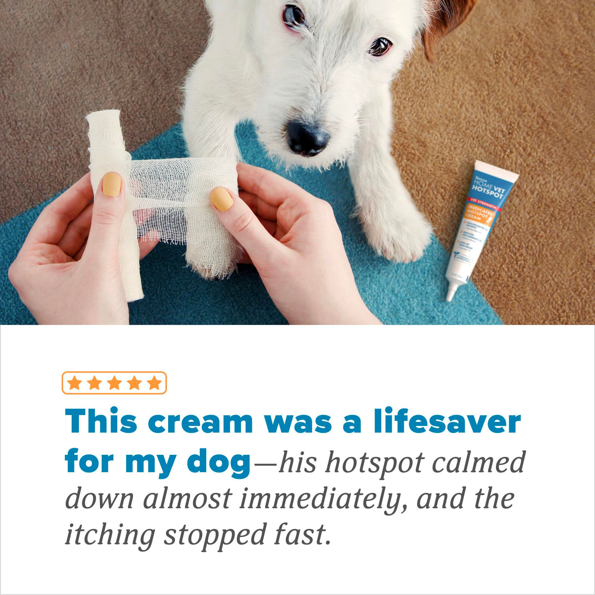 TropiClean HomeVet Medicated Cream, Hot Spot Treatment for Dogs, Fast Itch Relief, with Vet Strength Chlorhexidine & Hydrocortisone, USA Made, 1 oz