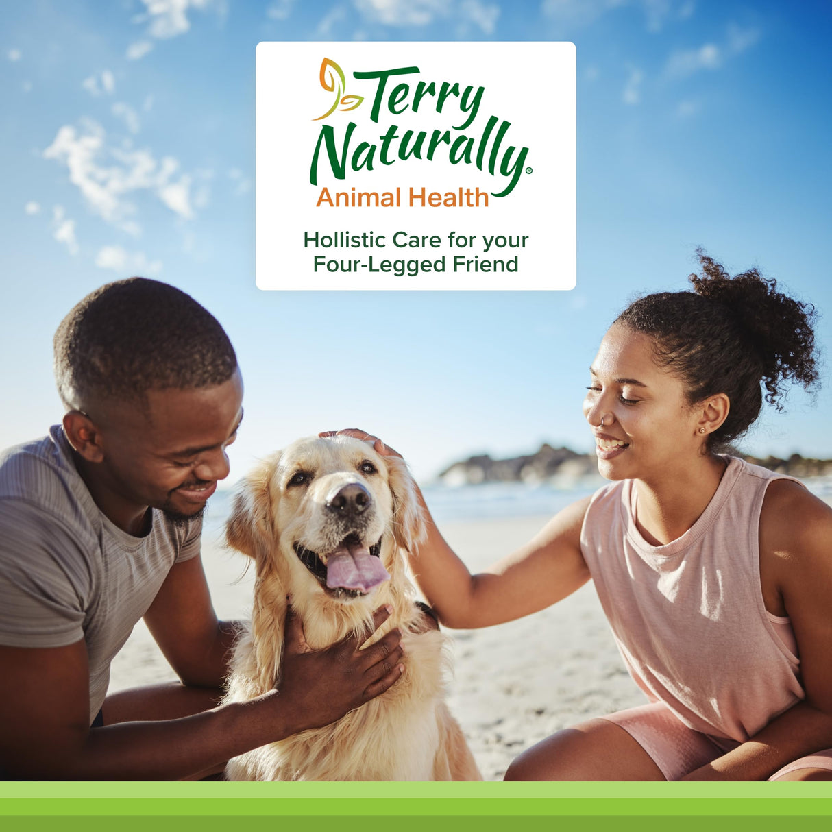 Terry Naturally Joint & Hip - Dog Health Supplement for Joint & Hip Support - Muscle Health Formula - Joint Health Support for Dogs - Pet Care Supplies - 60 Chewable Wafers