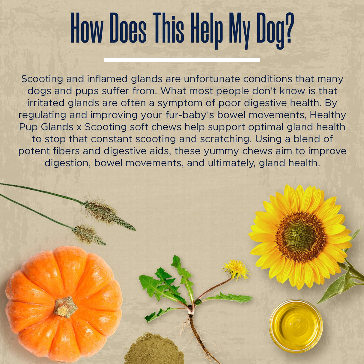 Glands Bowel Support - 120 Delicious Scoot Soft Chews for Scooting, Healthy Anal Glands, and Digestive Health - Made with Pumpkin Powder for Dogs