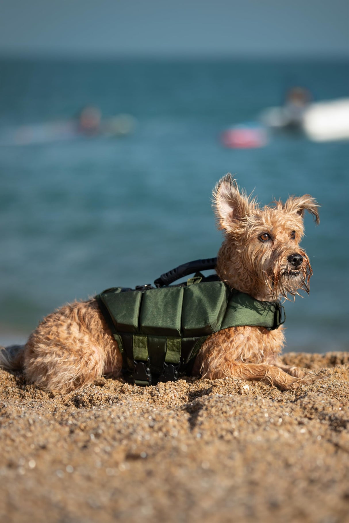 NOAH & PAW Dog Life Jacket, Human Standards Lifejacket Design, Dog Life Vest for Swimming and Boating, 3X Foam Support for Max Floating, Breathable Mesh, Salvavidas para Perros, Size S