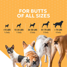 Load image into Gallery viewer, Nutramax Filaquin Anal Gland Supplement for Dogs, from The Same Company as Cosequin & Proviable, with Pre & Postbiotics and Psyllium Husk Fiber to Support Anal Gland Health, 90 Count Soft Chews