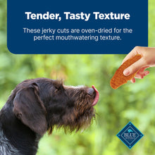 Load image into Gallery viewer, Blue Buffalo Nudges Jerky Cuts Dog Treats, Made in the USA with Natural Ingredients, Chicken & Duck, 36-oz Bag