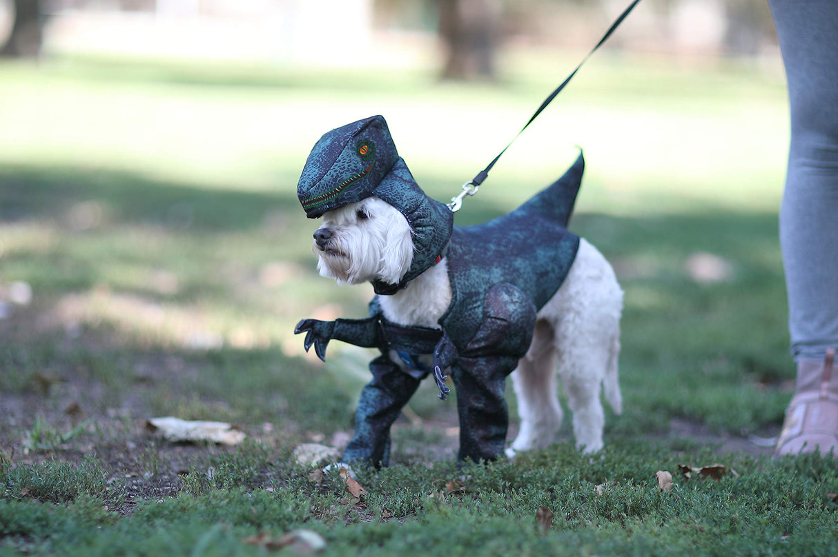 California Costumes Dog Pupasaurus Rex Costume Small