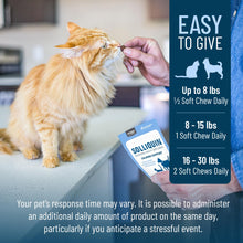 Load image into Gallery viewer, Nutramax Solliquin Calming Behavioral Health Supplement for Small to Medium Dogs and Cats - With L-Theanine, Magnolia / Phellodendron, and Whey Protein Concentrate, 75 Soft Chews