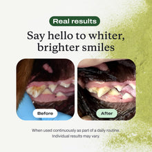 Load image into Gallery viewer, PetLab Co. ProBright Dental Powder - Dog Breath Freshener - Teeth Cleaning Made Easy – Targets Tartar & Bad Breath - Formulated for Medium Size Dogs - Packaging May Vary