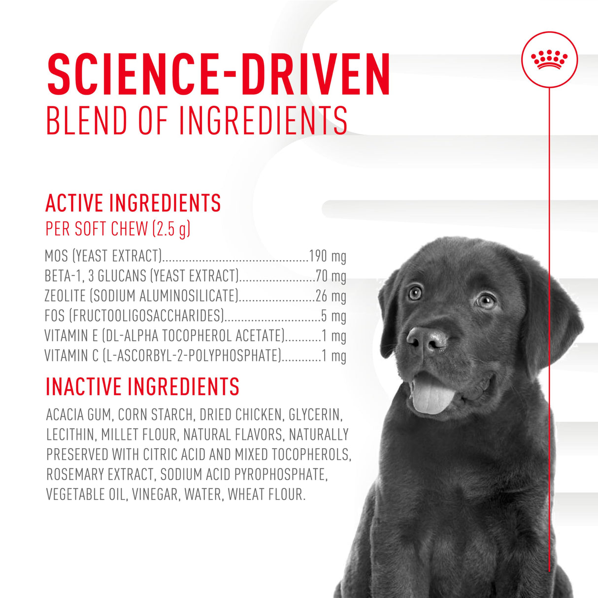 Royal Canin Puppy Supplement Soft Chews for Immunity & Digestion, 60 Count
