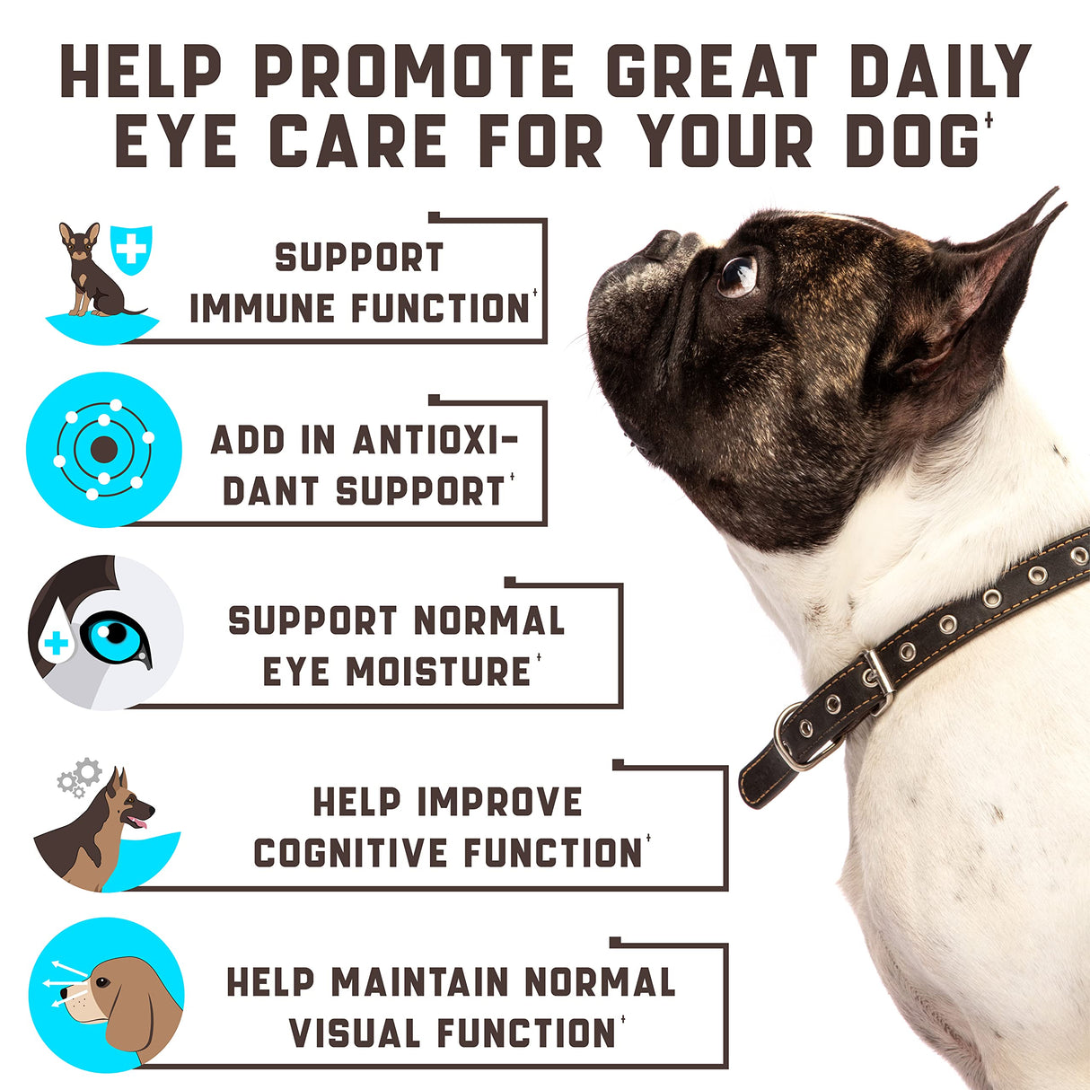 Eye Vitamins for Dog Eye Health & Tear Stains - Clear Vision Soft Chews for Dog Eye Care & Immune Support with Lutein, Lycopene, Vitamin C, Carrot, Fish Oil for All Breeds and Ages - 180ct