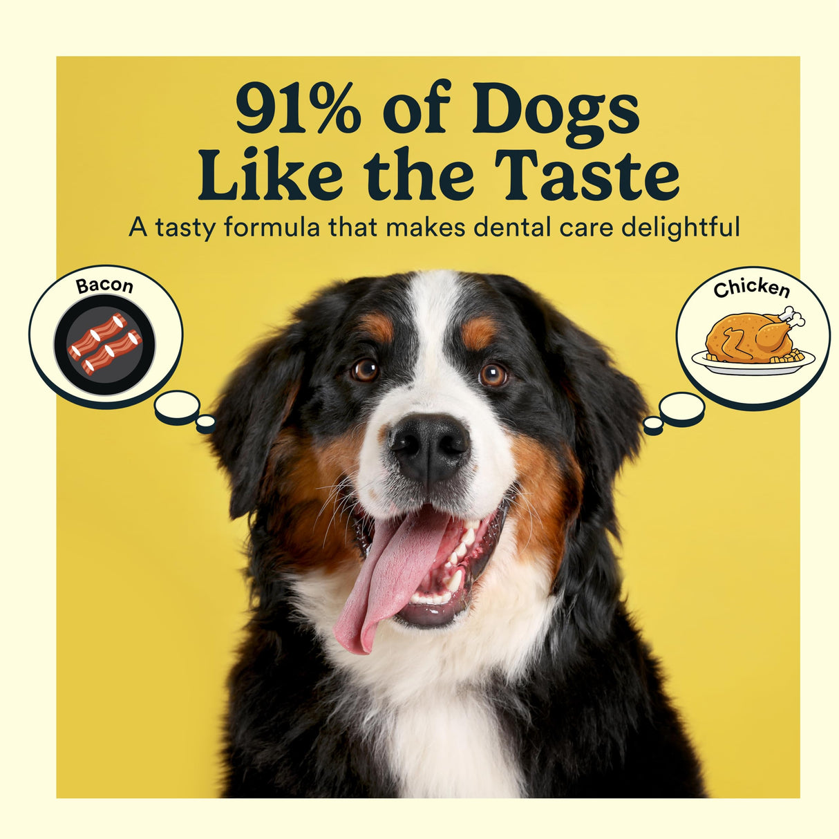 Jasper Dog Tooth Brushing Kit and Dog Toothpaste Kit with Dog Toothbrush Enzymatic, Plaque Remover Imporves Bad Breath Natural Pet Toothpaste Dog Toothbrush and Toothpaste 3.5oz Bacon Flavor