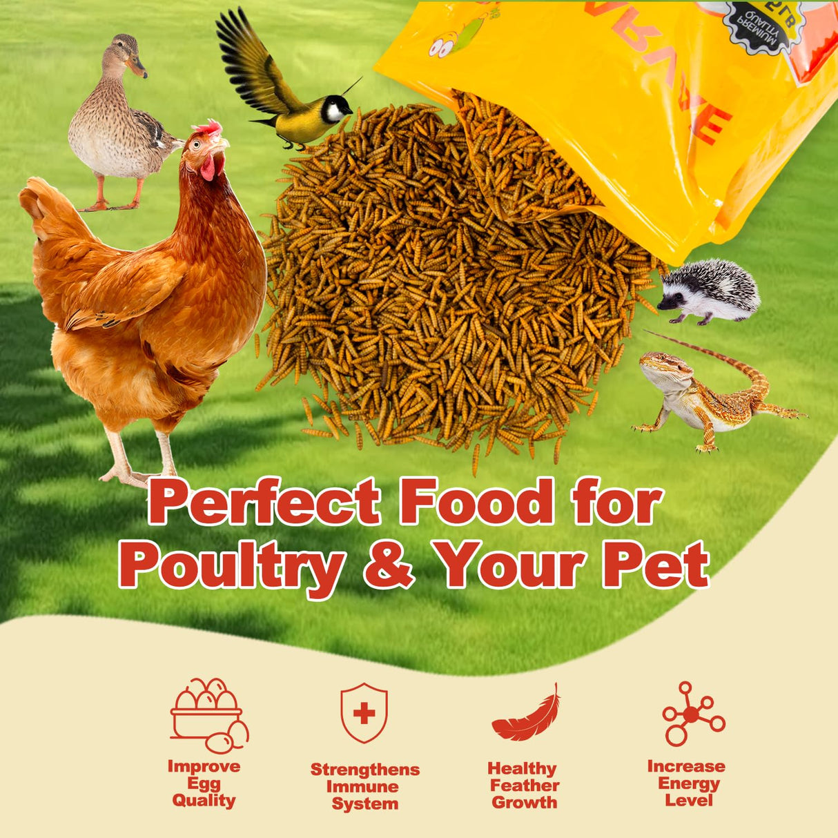 GOLDWORMS 10LB Dried Black Solider Fly Larvae, BSFL is High Protein Chicken Feed with 85x More Calcium Than Dried Mealworms, Poultry Treats, Chickens Love, Birds Love, Hens Love, Ducks Love