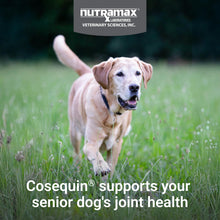 Load image into Gallery viewer, Nutramax Cosequin for Senior Dogs Joint Health Supplement, Contains Glucosamine, Chondroitin, MSM, Omega-3s and Beta-Glucan, Supports Joint, Skin and Coat, Immune Health, Soft Chews, 120 Count