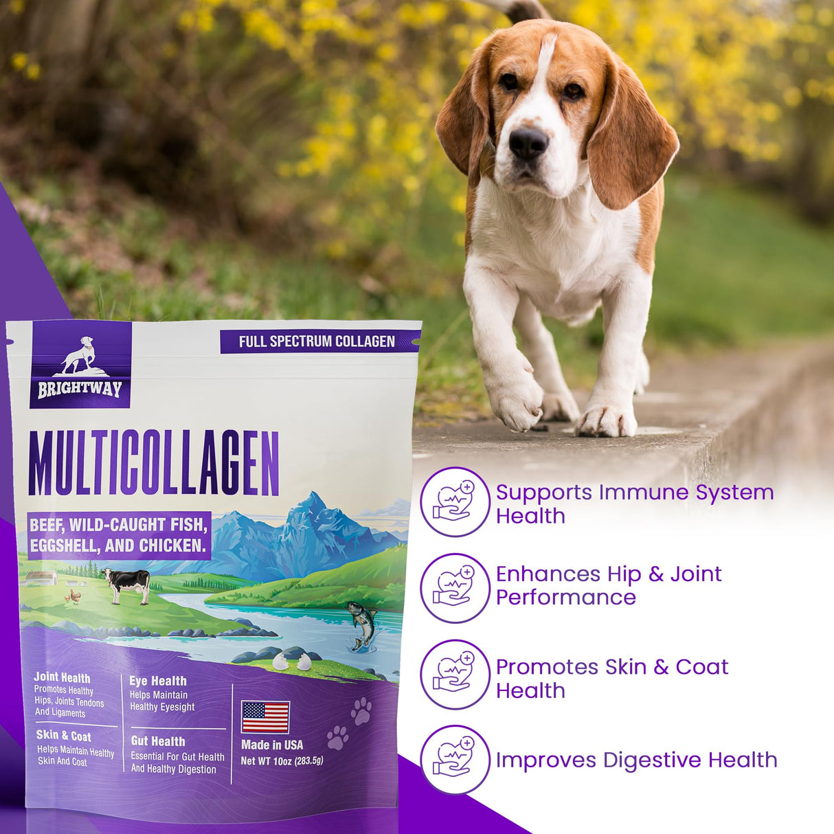 Multi-Collagen Peptide Daily Liquid Collagen for Dogs, Dog Collagen, Eggshell Powder Membrane for Dogs - Arthritis, Skin & Coat Health, Allergies,Dog Mobility Hip & Joint Pain Joint Supplement Relief