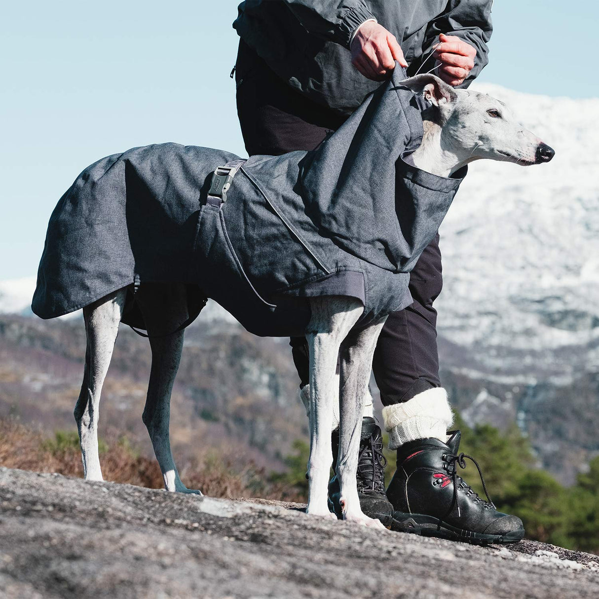 Hurtta Expedition Parka, Winter Dog Coat, BlackBerry, 18 in