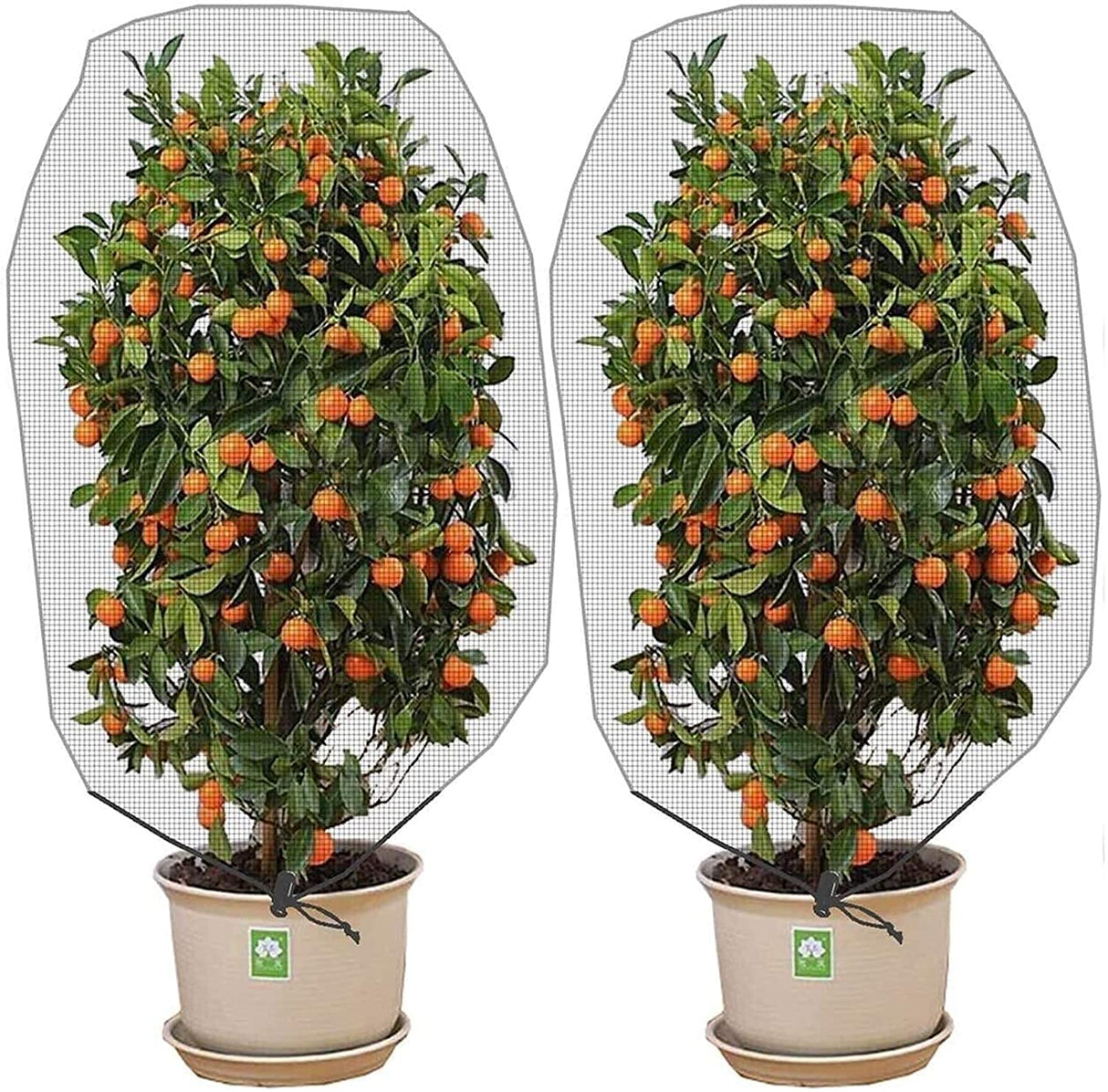 Alpurple 2 Pcs Insect Bird Barrier Netting Mesh with Drawstring- 4.9 x 3.2 Ft Garden Bug Netting Plant Cover- Fruit Tree Net for Protect Plant Fruits Citrus Flower from Insect Bird Eating