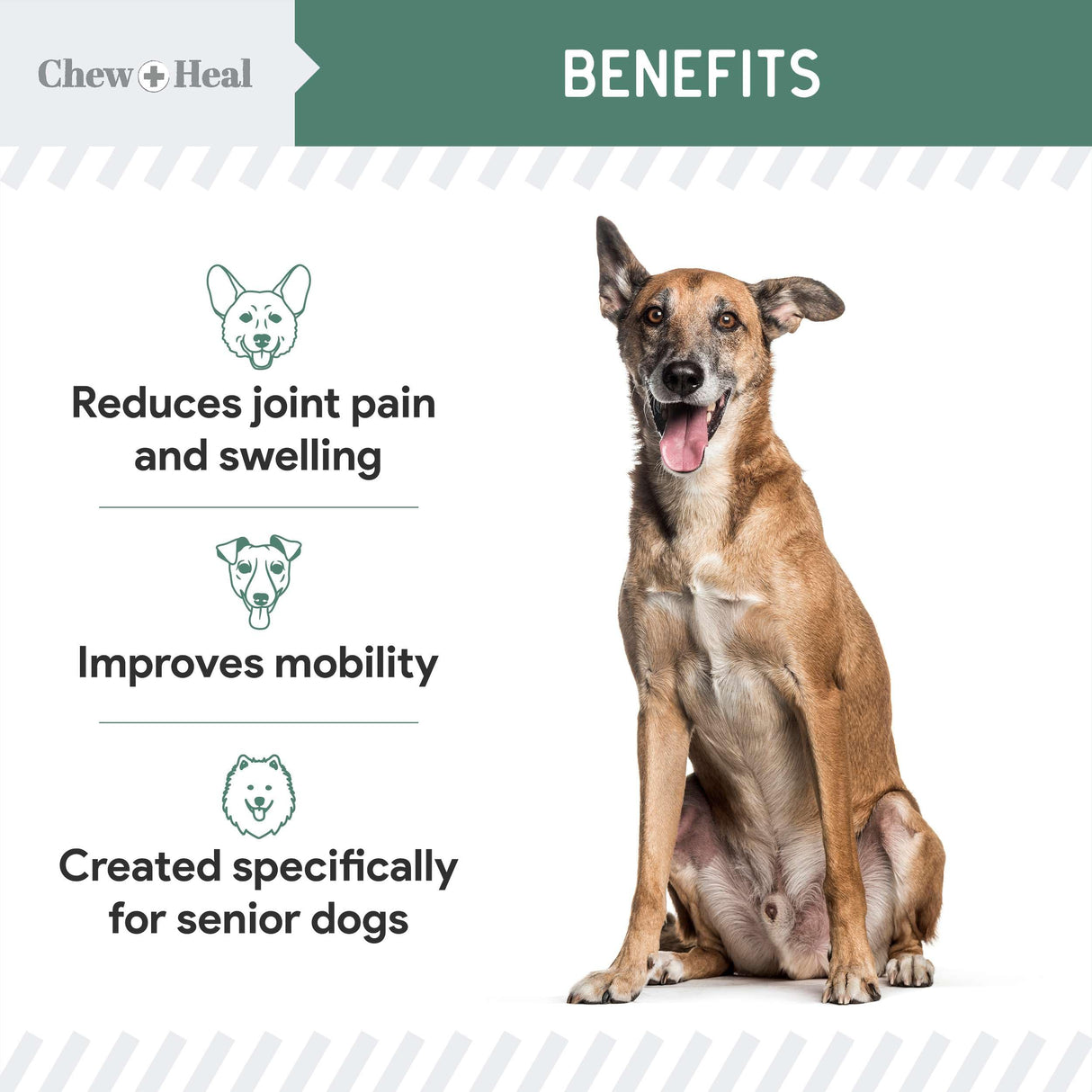 Chew + Heal Labs Glucosamine for Dogs Hip and Joint Supplement - 60 Senior Dogs Mobility Soft Chews - Made with Glucosamine, MSM, Chondroitin, Green Lipped Mussels and More - Made in The USA