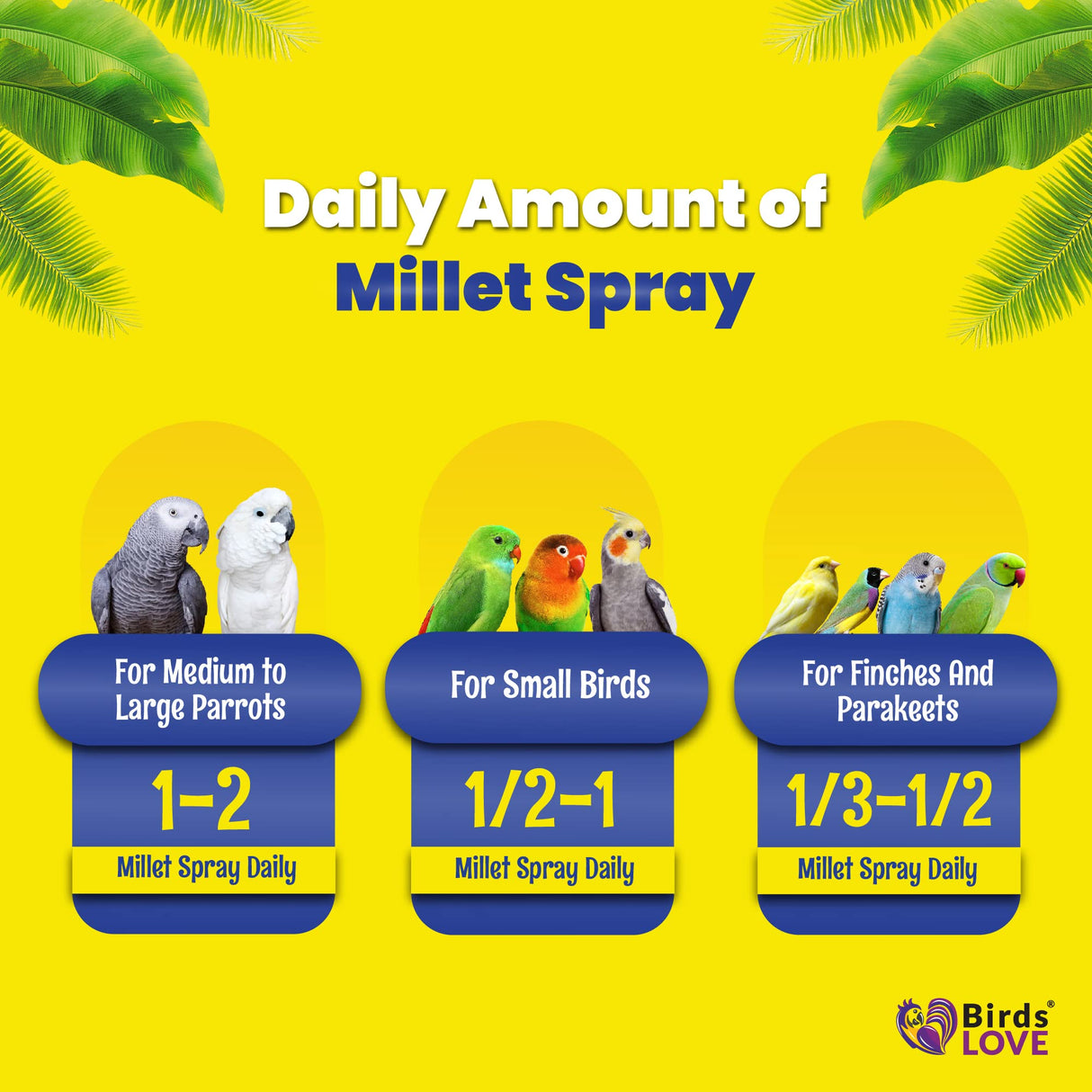 5lbs Economy & Special Spray Millet for Birds – GMO-Free, No Stems (Only Edible Tops) – 100% Natural Sun-Dried Foraging Treat for Cockatiels, Lovebirds, Parakeets, Finches & Canaries