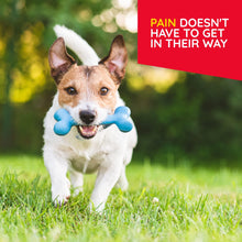 Load image into Gallery viewer, T-Relief Pet Pain Relief Drops Arnica +12 Powerful Natural Medicines Help Reduce Muscle Joint & Hip Pain Soreness Stiffness Injuries in Dogs & Cats - Fast-Acting Soother - 1.69 oz