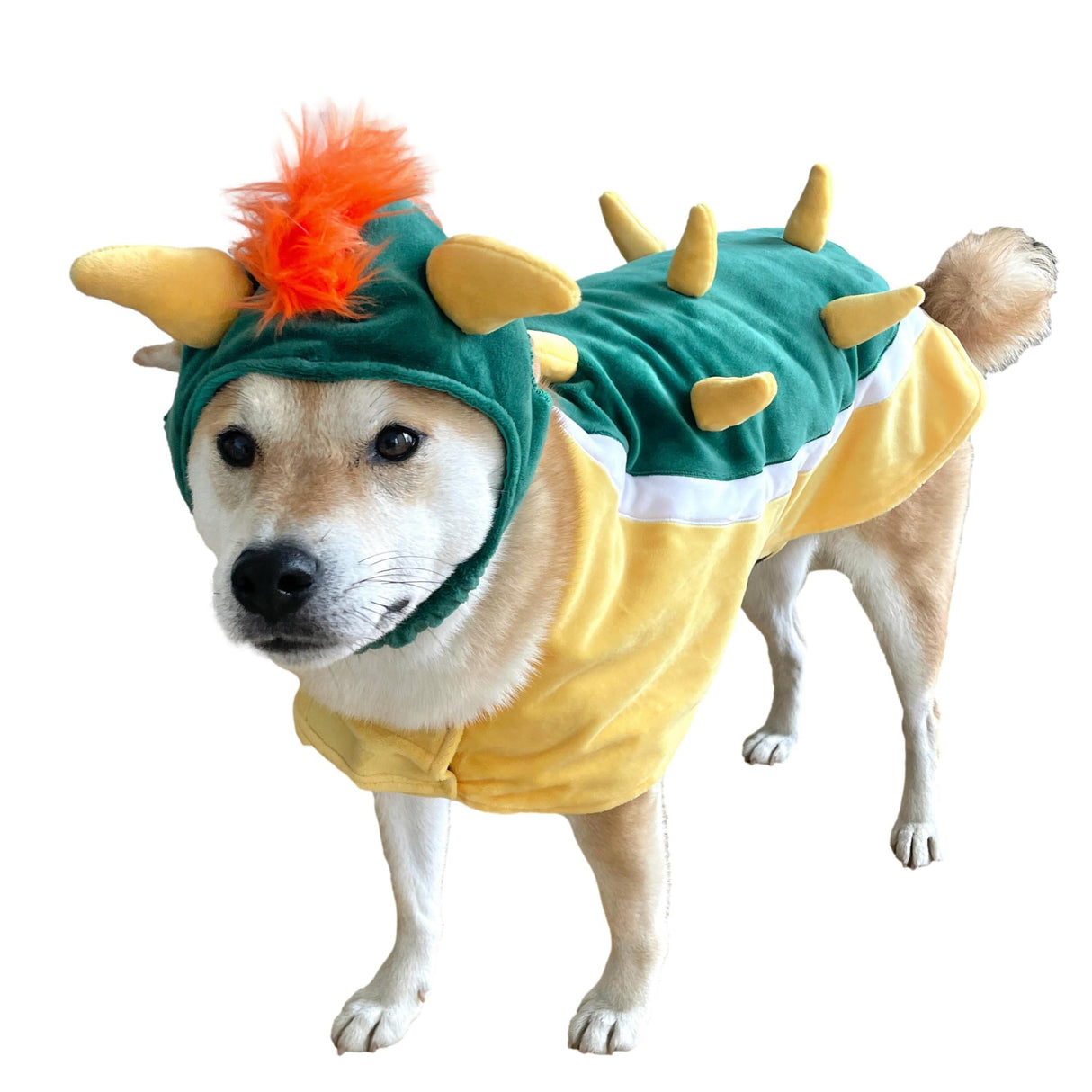 ComfyCamper Hat and Suspenders Dog Costume - X Large Medium Small Lab Star Space Cosplay Halloween Costumes, Small, Orange