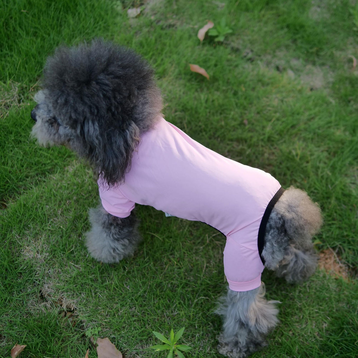 LoveLongLong Dog Jumpsuit with UV Protection and Quick-Dry Fabric for Spring Summer Pet Pajamas Pink XL
