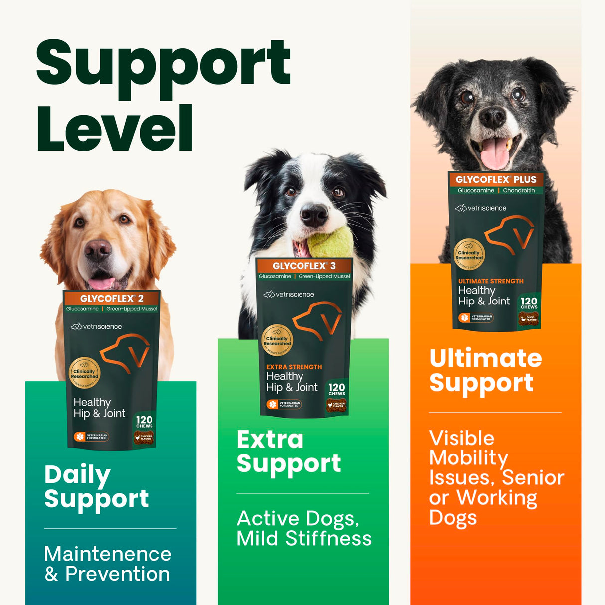 VetriScience GlycoFlex Sport Hip and Joint Supplement for Dogs - Joint Support Chews with Green-Lipped Mussel, DMG, and Glucosamine for Dogs, Chicken Liver Flavor
