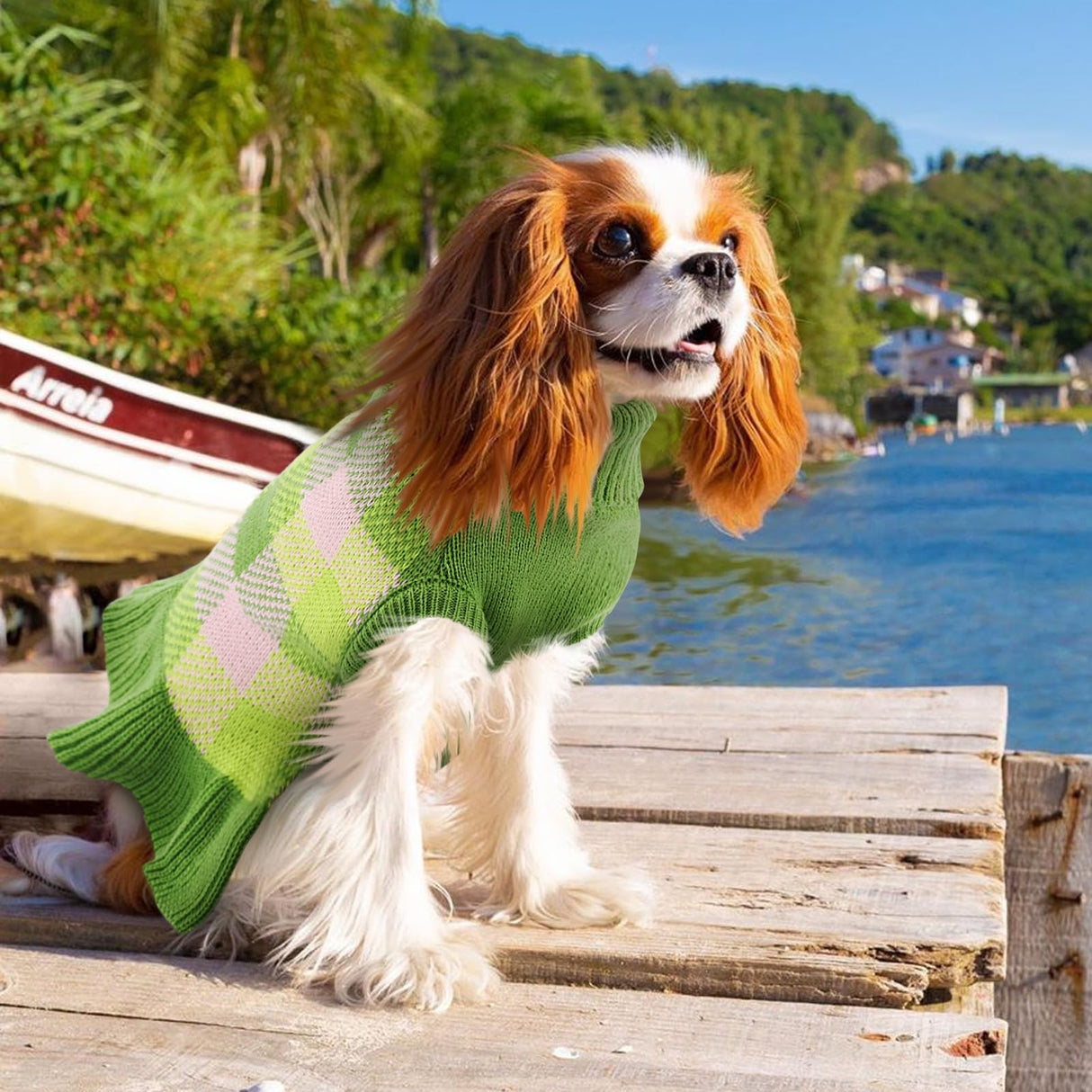 Dog Sweater Dress Plaid Knitwear for Small Medium Dogs Warm Puppy Pet Turtleneck Stretch Pullover Cute Fall Winter Vest Clothes with Leash Hole for Christmas (Green, L)