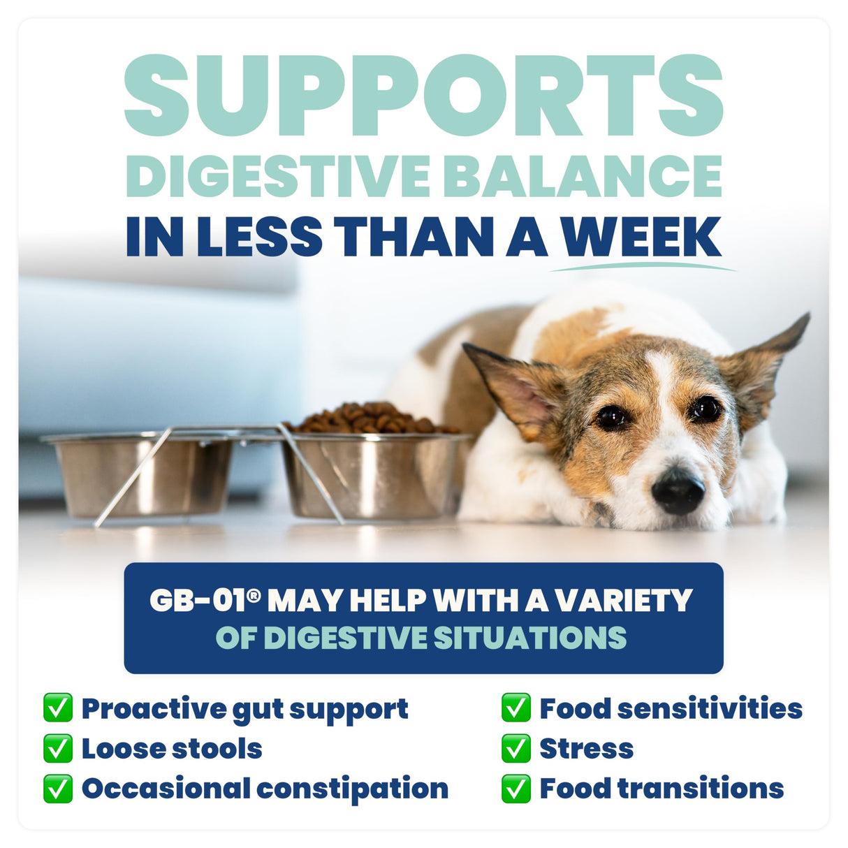 Jope Synbiotic GB-01® - Prebiotics and Probiotics for Dogs & Cats - Clinically Proven Formula - Vet Formulated for Gut Health, Stool Quality, Diarrhea, Immunity, Skin & Coat - 30 Gut Powder Capsules