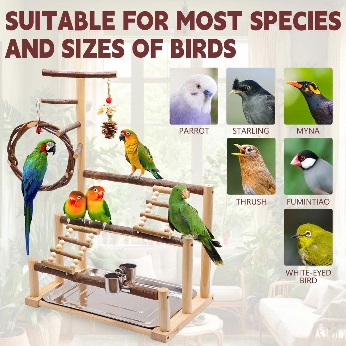 Bird Playground, Natural Wooden Parrot Stand with Feeding Cup, Swing, Chew Toy, and Other Cage Accessories. Bird Perch for Most Birds Including Cockatiels, Budgerigars, Grey Parrots, and More