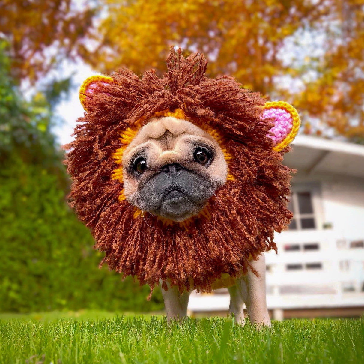 Zoo Snoods Lion Costume - Knit Mane Dog Snood Ear Wrap for Pets, Warm Neck Cover for Halloween and Winter (Large)