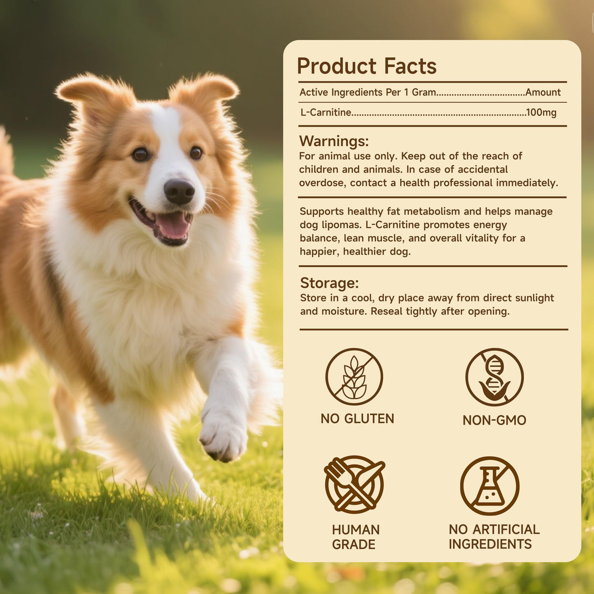 L-Carnitine Dog Lipoma Treatment, Supplement for Dogs, Helps Reduce Fatty Lumps & Bumps, Advanced Fat Metabolism, Boosts Energy & Vitality, Natural Lipoma Relief - 100g