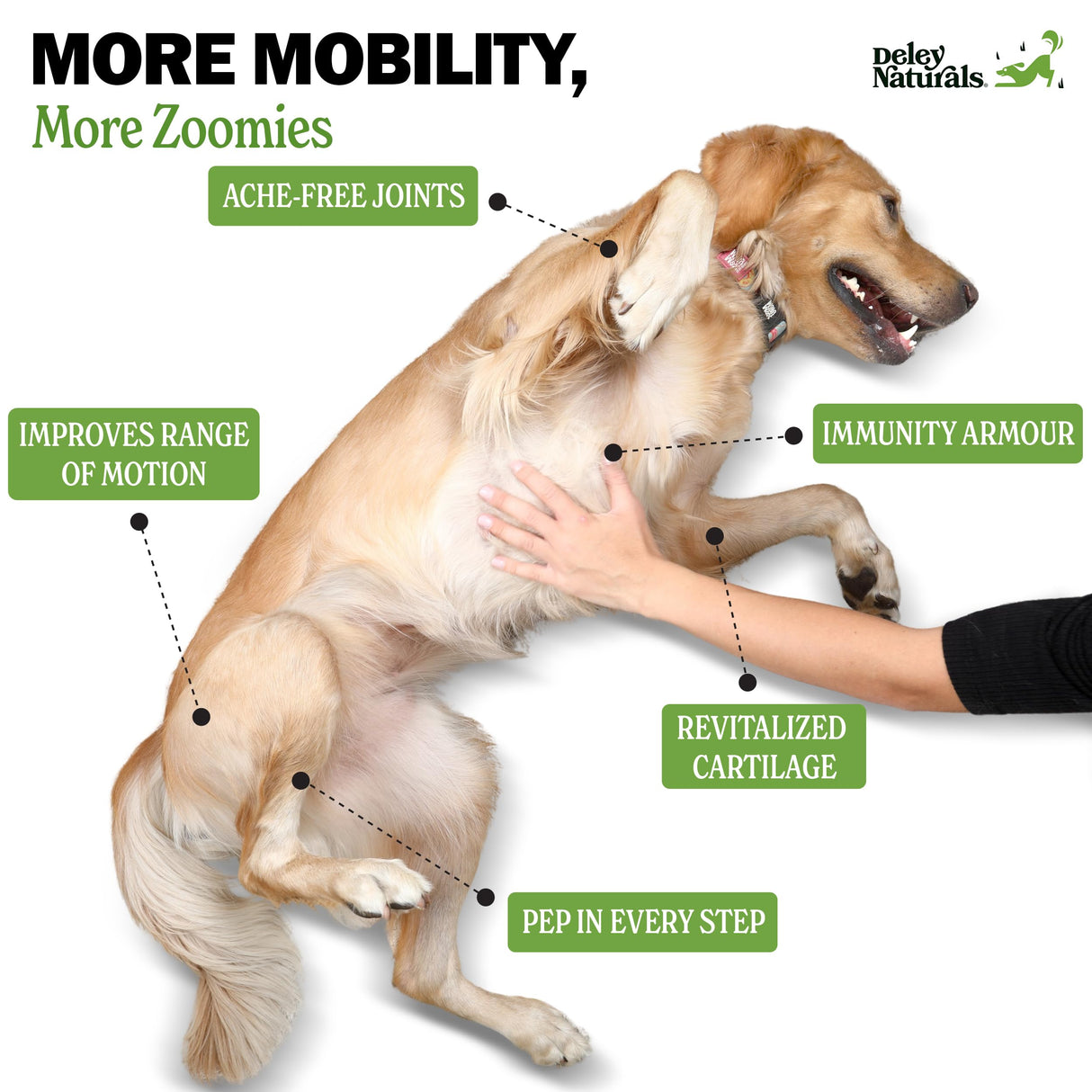 Deley Naturals Hip and Joint Supplement for Dogs - Glucosamine for Dogs with MSM, Turmeric, Chondroitin & Collagen Supplements - Joint Support Chews for Mobility, Flexibility & Comfort - 120 Chews