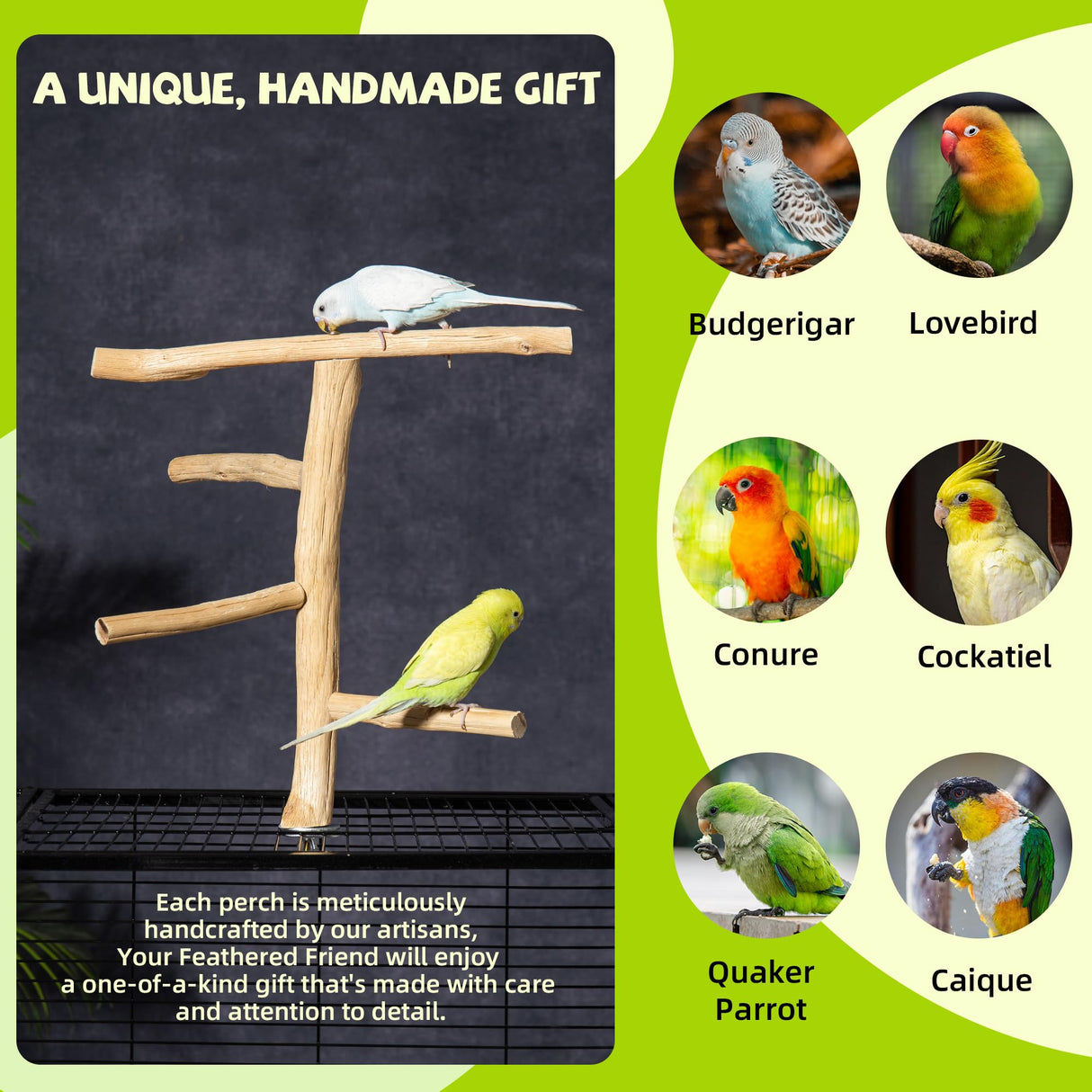 Pecirvoli Natural Wood Bird Perch & Play Stand for Parakeets/Cockatiels - Multi-Level Cage Accessory with Training Branch