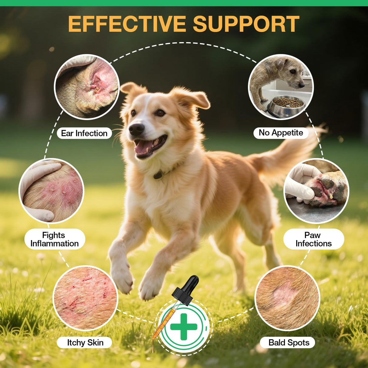 Yeast Infection Treatment for Dogs, Natural Dog Yeast Infection Treatment, Ear & Skin Itch Relief, Reduces Inflammation & Irritation, Herbal Dog Supplement Drops with Probiotics & Multivitamins, 2 FL