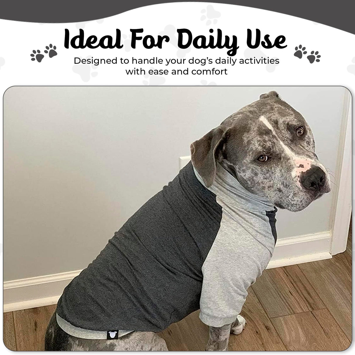 Tooth & Honey Dog Shirt for Medium Dogs β Breathable Cotton & Spandex Pullover with Full Underbelly Coverage β Grey Allergy & Summer Protection (Medium)
