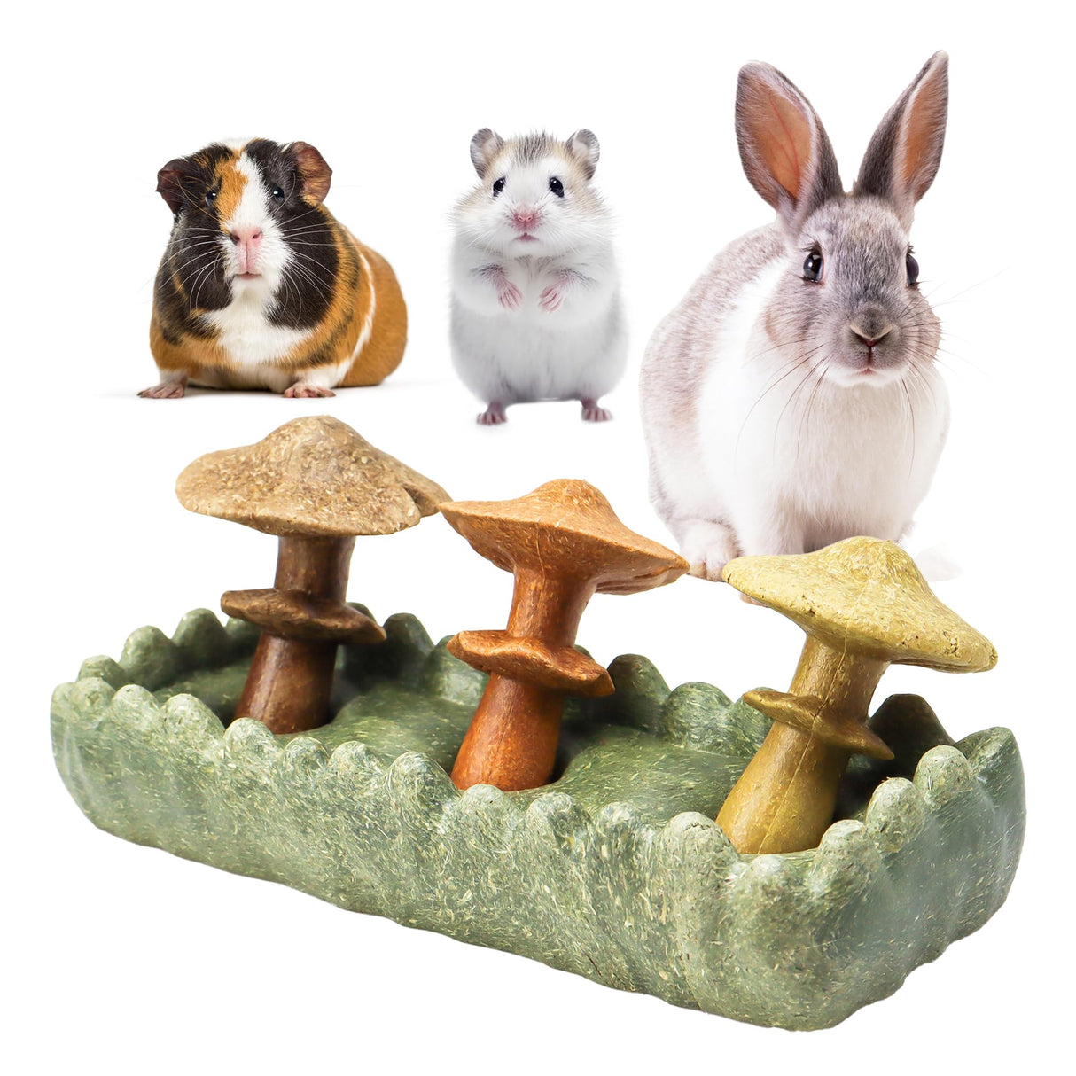 TEEWY Guinea Pig Chew Toys, Prevent Teeth Overgrowth, Natural Timothy Grass & Vegetables, Hamster Chew Toys, Guinea Pig Toys, Chinchilla Toys, 4PCS, Grass Patch & Mushrooms