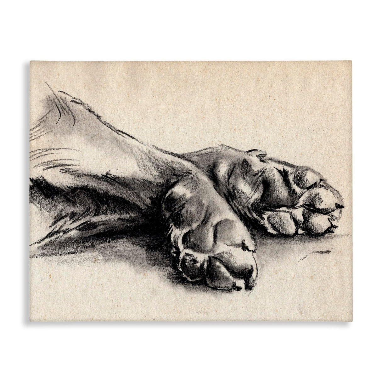 Stupell Industries Dog Paw Charcoal Design, Designed By Jennifer Paxton Parker, 20 x 16, Canvas Wall Art