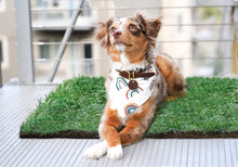 Load image into Gallery viewer, DoggieLawn Dog Potty - Real Grass - XLarge 24x48 inches