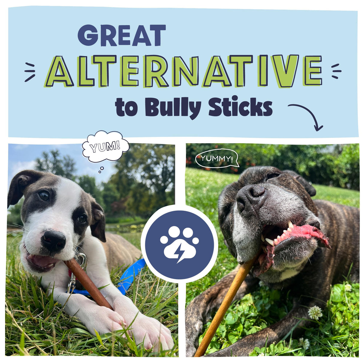 Pawstruck All Natural 11-12" Roasted Collagen Sticks for Dogs – Low Odor & Long-Lasting Bully Stick & Rawhide Alternative, Single Ingredient, Vet Approved – 5 Pack