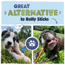 Load image into Gallery viewer, Pawstruck All Natural 11-12" Roasted Collagen Sticks for Dogs – Low Odor & Long-Lasting Bully Stick & Rawhide Alternative, Single Ingredient, Vet Approved – 5 Pack